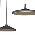 Two Brown Circular Pendant Lights With White Light Against Grey Background 3d model