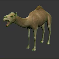Light Brown Camel with Open Mouth Standing on Reflective Gray Surface