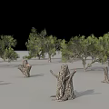 Trees 3D Models With Various Sizes Shapes Gray Background And Dead Stumps 3d model
