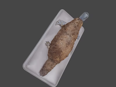 Game Movie Character With Fried Fish Like Look And Brown Crispy Surface On White Tray 3d model