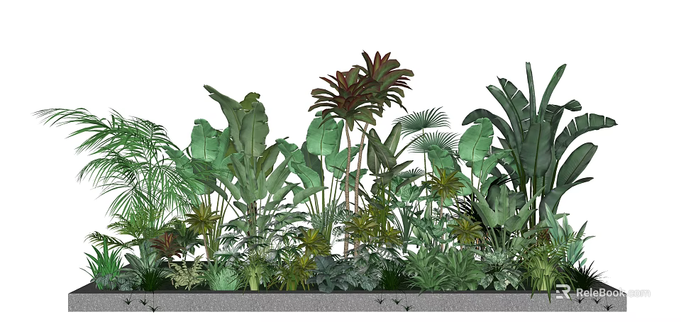 Various Bonsai and Potted Plants with Lush Green Leaves and Diverse Foliage 3d model 