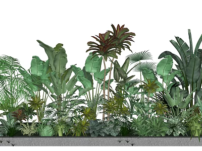 Various Bonsai and Potted Plants with Lush Green Leaves and Diverse Foliage 3d model