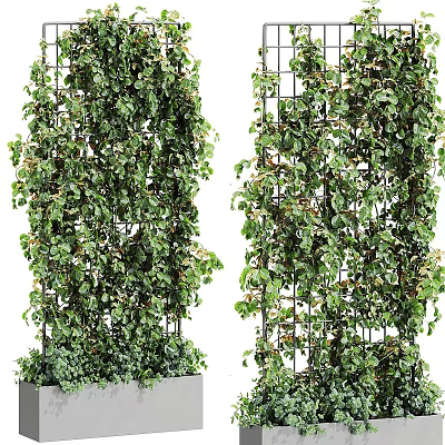 Green Climbing Plants in Lattice Structure Potted Decor for Garden 3d model