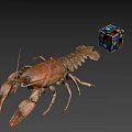Whole Fresh Lobster Displayed with Colorful Rubik's Cube on Gray Background