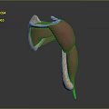 3D Anatomical Model Displaying Muscle And Joint Structure With Red Yellow Components