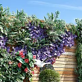 Living Green Wall With Diverse Plants Colorful Flowers Pebble Ground And Wooden Backdrop