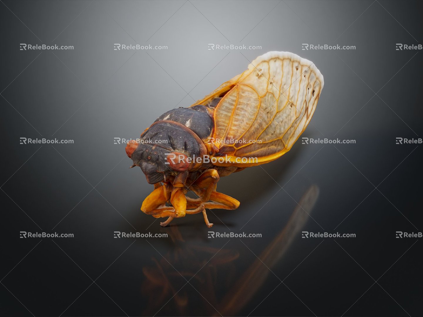 Modern cicada cicada flying insect animal game animal 3d model