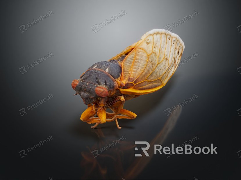 Modern cicada cicada flying insect animal game animal model