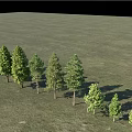 Lush Green Arbors Arranged On Grassland With Various Sizes And Fresh Foliage