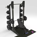 Multi functional Home Fitness Equipment with Squat Rack Bench Press Barbell and Weight Plates