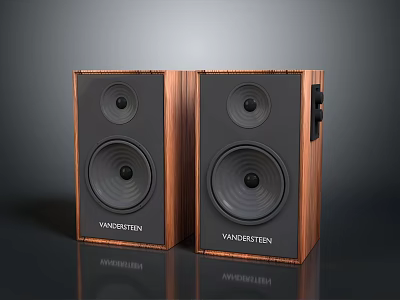 Van der Steen Electronic Audio Speakers With Wooden Cabinet And Dual Drivers 3d model