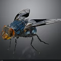 Vibrant Blue Fly With Red Eyes Transparent Patterned Wings And Orange Body