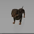 3D Model Dachshund Dog With Brown Orange Fur Standing On Dark Shiny Surface