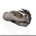 Close Up View Of Animal Paw Organ With Sharp Black Claws And Rough Skin Texture