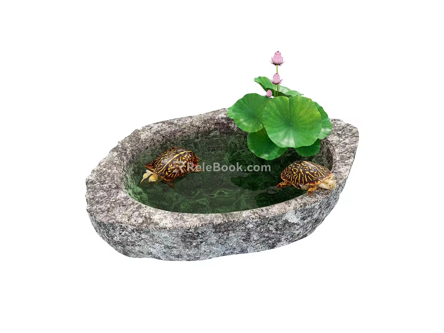 turtle rearing stone basin golden turtle lotus 3d model