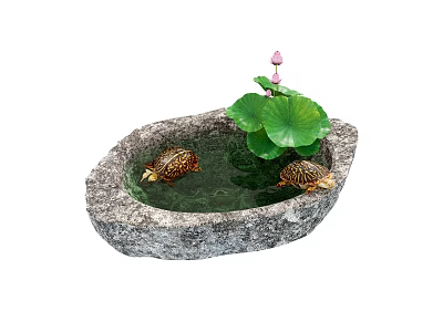 turtle rearing stone basin golden turtle lotus 3d model