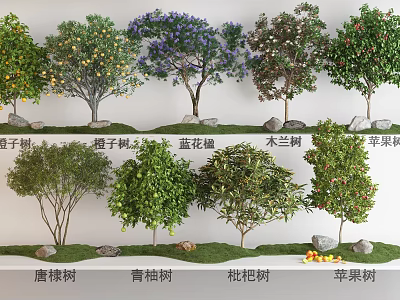 Various Arbor Tree Species Including Orange Pomelo Jacaranda and Apple Trees 3d model