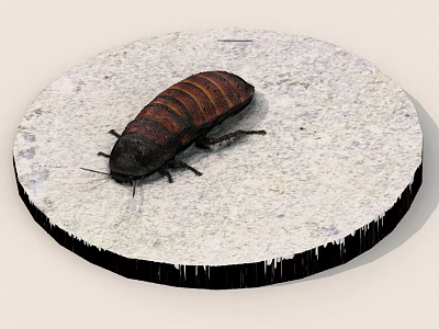 Striped Brownish Red Cockroach with Six Legs and Antennae on White Circular Stone 3d model