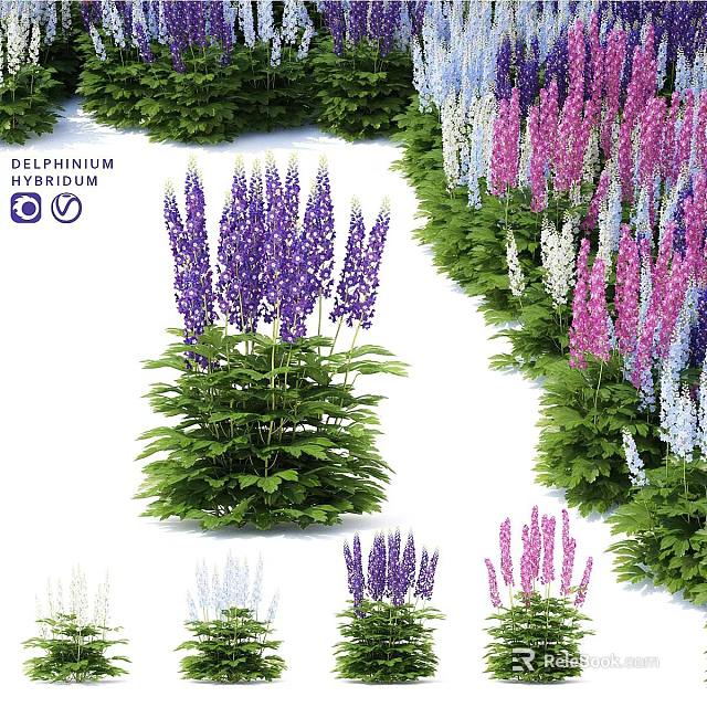 Colorful Delphinium Flowers Garden Decor With Purple Pink White Blooms And Green Foliage 3d model 
