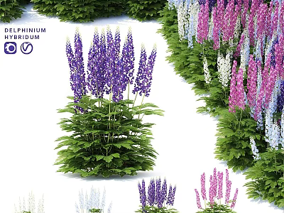 Colorful Delphinium Flowers Garden Decor With Purple Pink White Blooms And Green Foliage 3d model