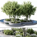 Modern Landscaped Tree Planter With Green Trees Water Elements And Garden Design