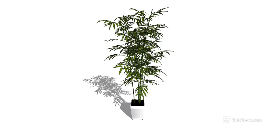 Indoor Decorative Bamboo Bonsai Plant in White Ceramic Pot with Green Leaves 3d model 