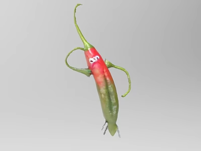 Cute Cartoon Chili Pepper Character With Red Green Body And Eyes Arms Legs 3d model