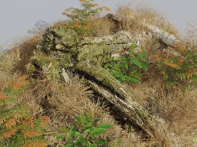 Green Plants And Orange Ferns Growing Around Moss Covered Log With Dry Grass 3d model