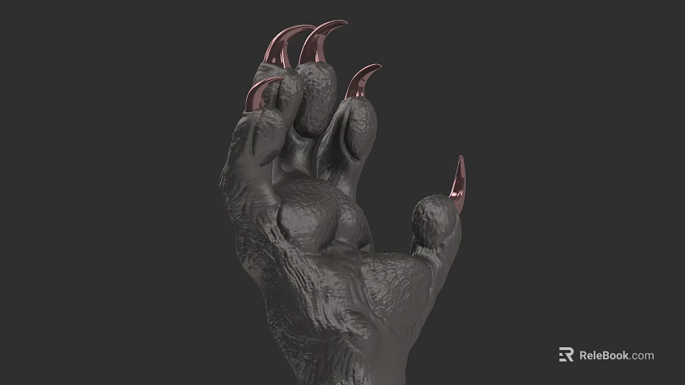 Detailed Reptile Claw With Sharp Curved Nails And Rough Skin Texture 3d model 