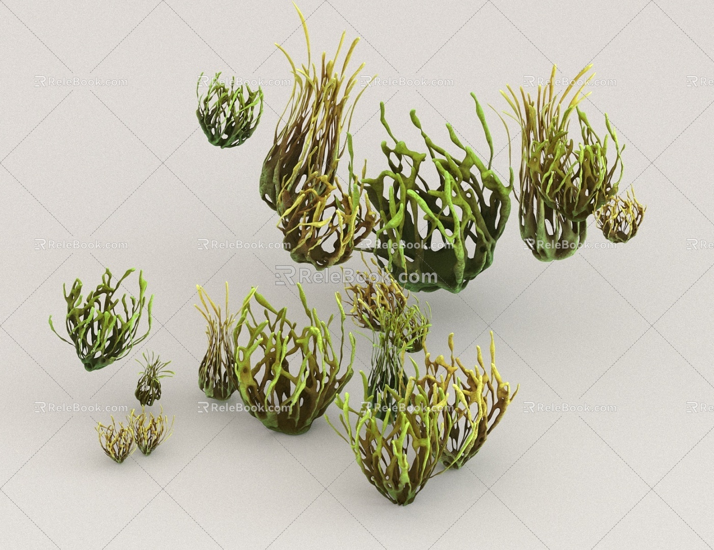 seagrass plant green plant 3d model