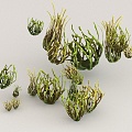 seagrass plant green plant 3d model