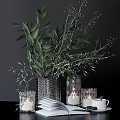 Elegant Decorative Ornament Set With Green Plants Glass Vases Candles Books And Cup
