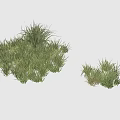 Grass is 3d model