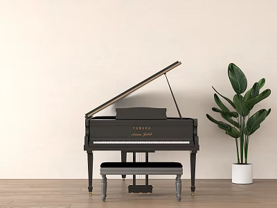 Black Grand Piano Interior With Wooden Floor Light Wall And Green Plant Bench 3d model