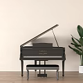 Black Grand Piano Interior With Wooden Floor Light Wall And Green Plant Bench
