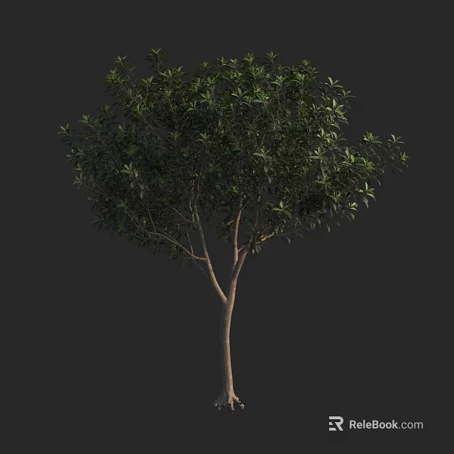 Lush Green Arbor with Dense Foliage and Brown Trunk Natural Appearance 3d model 