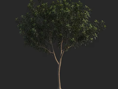 Lush Green Arbor with Dense Foliage and Brown Trunk Natural Appearance 3d model