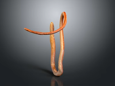 Brown And Orange Curved Snake With Dark Background And Smooth Form 3d model