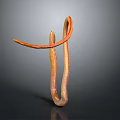 Brown And Orange Curved Snake With Dark Background And Smooth Form