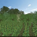 Garden Landscape With Lush Trees Low Shrubs Green Plants Blue Sky And White Clouds