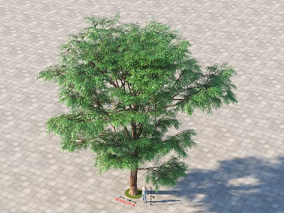 Tall Arbor With Lush Green Foliage On Paved Ground Under Sunlight Shade 3d model