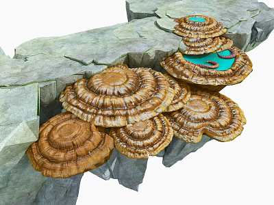 Cartoon Rocky Cliff Scene With Layered Brown Mushrooms And Blue Green Top 3d model