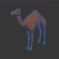 Orange Camel 3D Model With Textured Surface And Gray Background Reflection 3d model