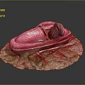 Small Red Open Top Boat Model With Seats On Grass Dirt Base