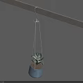 Hanging Succulent Plant in Blue Pot on Gray Rod with Fresh Soil and Green Leaves