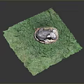 Koala Sculpture on Green Grass with Stone Base and Gray Orange Fur