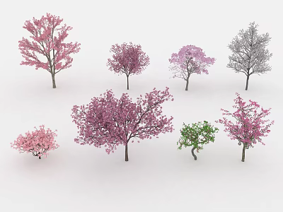 Colorful Arbor Trees Featuring Pink Purple and Green Foliage in Different Sizes 3d model