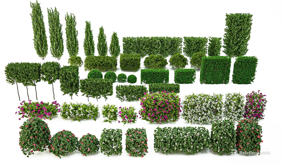 Various Types Of Garden Shrubs Including Flowering And Evergreen Varieties For Landscape Design 3d model 
