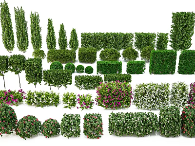 Various Types Of Garden Shrubs Including Flowering And Evergreen Varieties For Landscape Design 3d model