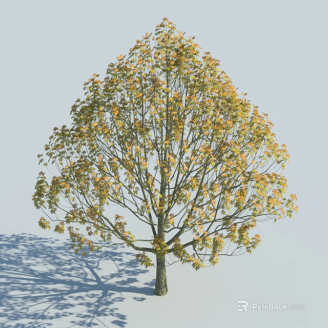 Sunlit Arbor Tree With Green And Yellow Leaves And Full Canopy Casting Shadow 3d model